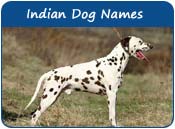 Indian Dog Names