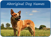 Aboriginal Dog Names