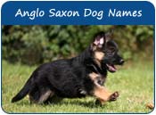 Anglo Saxon Dog Names