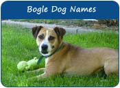 Bogle Dog Names