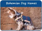 Bohemian Dog Names