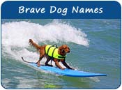 Brave Dog Names