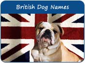 British Dog Names
