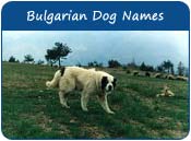 Bulgarian Dog Names