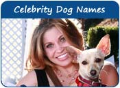 Celebrity Dog Names