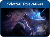 Celestial Dog Names
