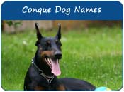 Conquer Dog Names