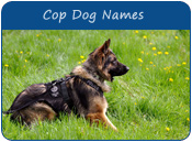 Cop Dog Names
