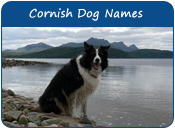 Cornish Dog Names