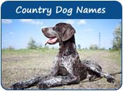 Country Dog Names