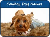Cowboy Dog Names