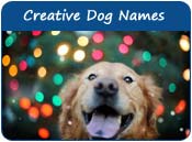 Creative Dog Names