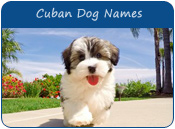 Cuban Dog Names