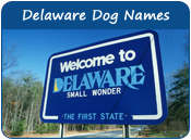 Delaware Dog Names