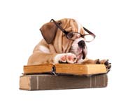 Dog Names Directory and Dictionary