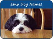 Emo Dog Names