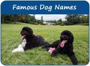 Famous Dog Names