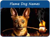 Flame Dog Names