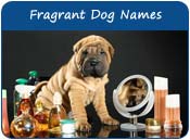 Fragrant Dog Names