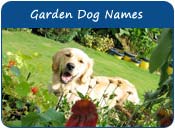 Garden Dog Names