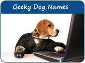 Geeky Dog Names
