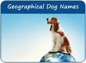 Geographical Dog Names