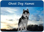 Ghost Dog Names
