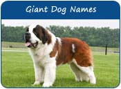 Giant Dog Names