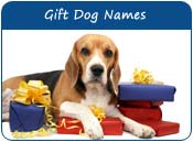 Gift Dog Names