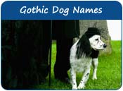 Gothic Dog Names