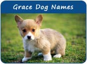 Grace Dog Names