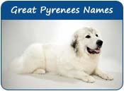 famous great pyrenees names