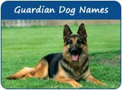 Guardian Dog Names