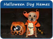 Halloween Dog Names