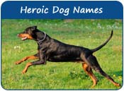 Heroic Dog Names