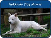 Hokkaido Dog Names