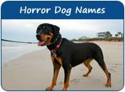 Horror Dog Names