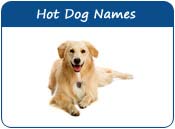 Hot Dog Names