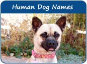 Human Dog Names