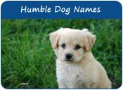 Humble Dog Names