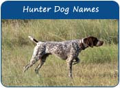 Hunter Dog Names