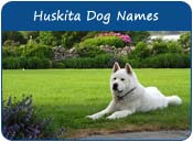Huskita Dog Names