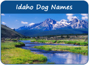 Idaho Dog Names