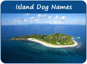 Island Dog Names