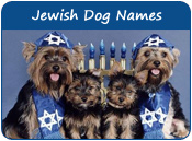 Jewish Dog Names