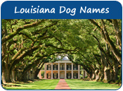 Louisiana Dog Names