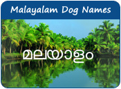 Malayalam Dog Names