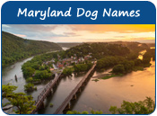 Maryland Dog Names