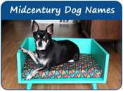 Midcentury Dog Names
