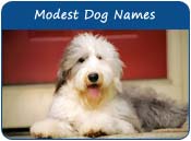 Modest Dog Names